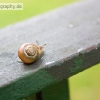 PC1_Bild102.jpg